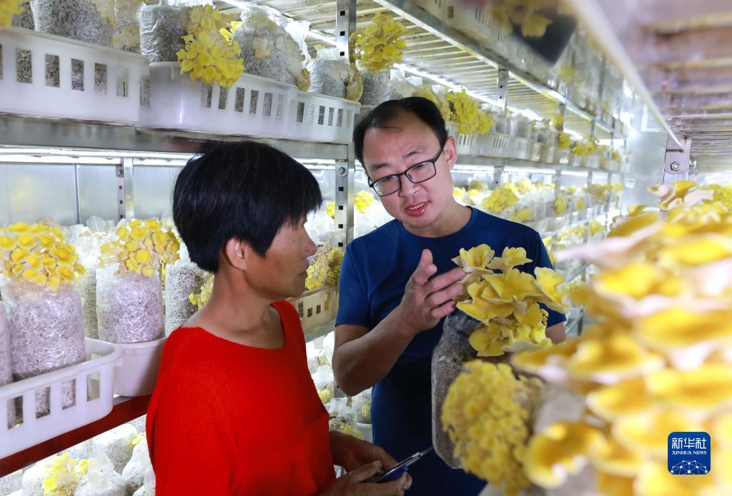求澳门威尼人官网址?